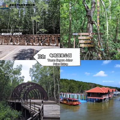 Taman Negara Johor  Pulau Kukup-kukup